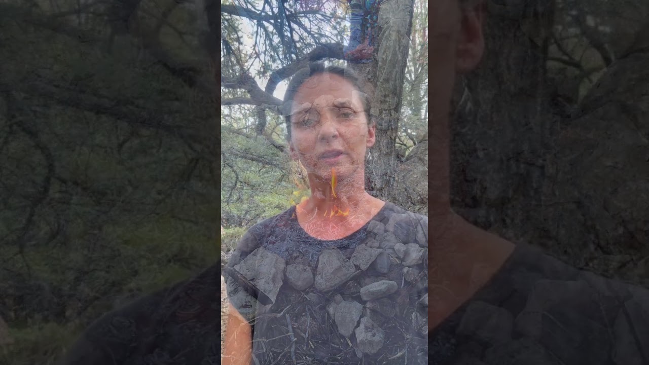 Learn shamanism with the Power Path!