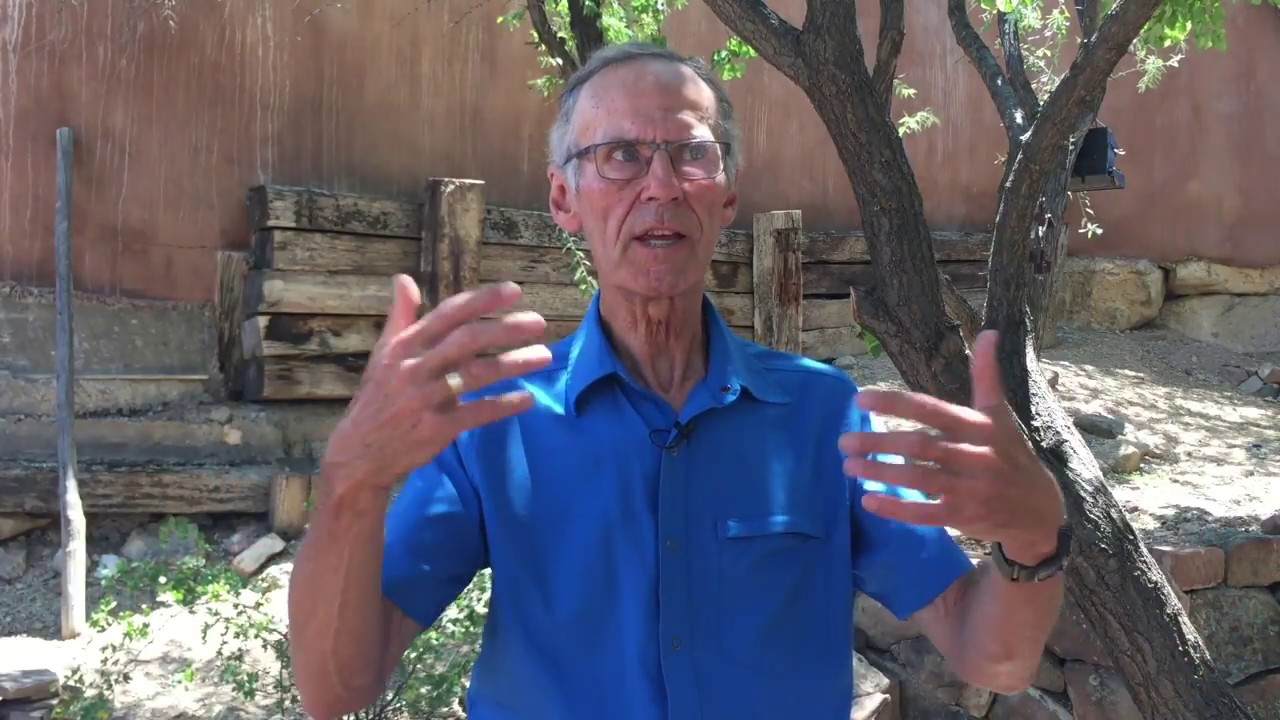 What is a Shaman?