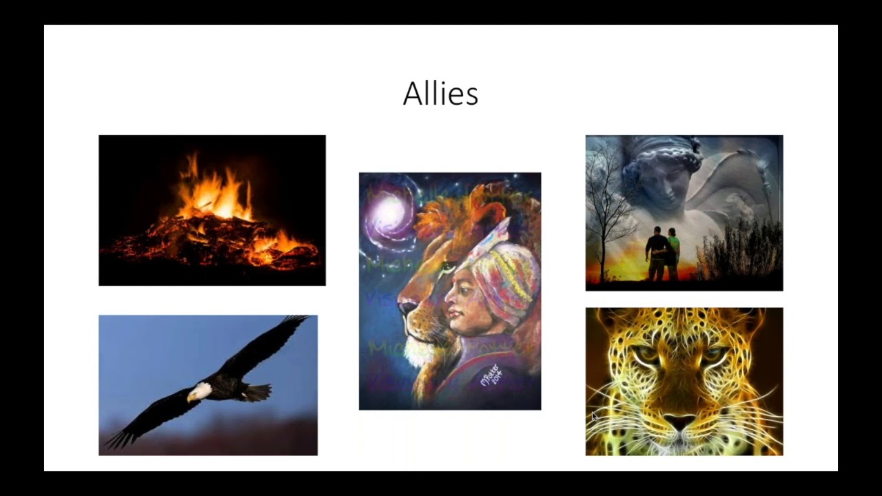 What is an Ally in Shamanic terms?