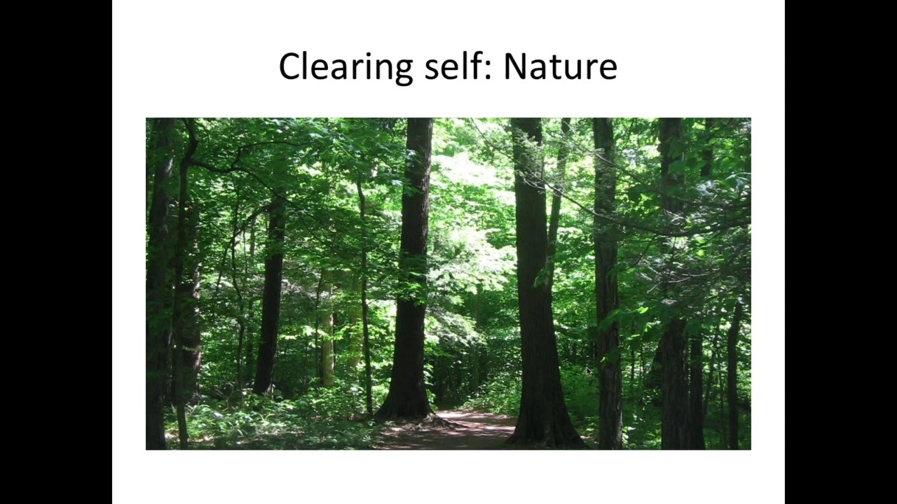 Cleaning Energy using Nature with Lena Stevens