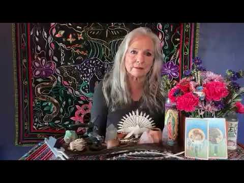 What to expect during Weekly Wisdoms with Lena?