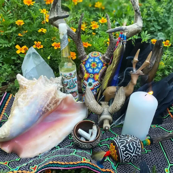 Remote Shamanic Healing with Jose ~ June 11th