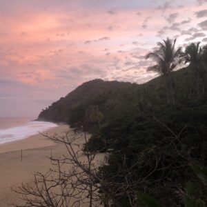 Mexico Tropical Retreat 2027 - Image 4