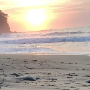 Mexico Tropical Retreat 2027 - Image 7