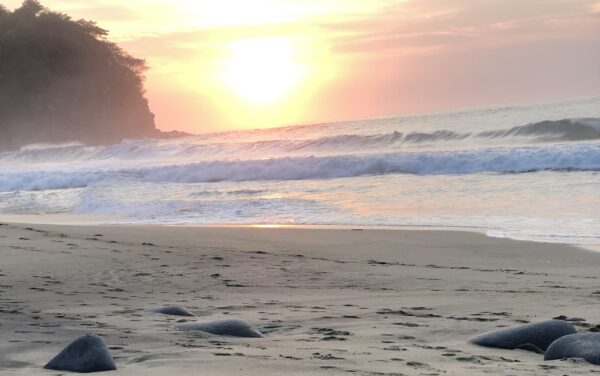 Mexico Tropical Retreat 2027