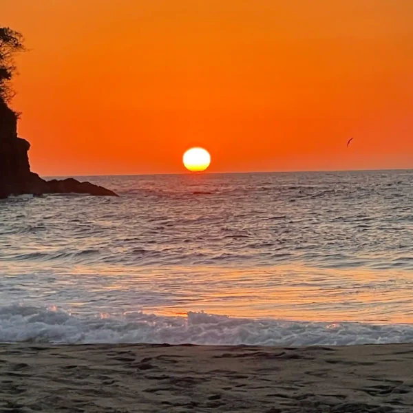 Mexico Tropical Retreat 2026