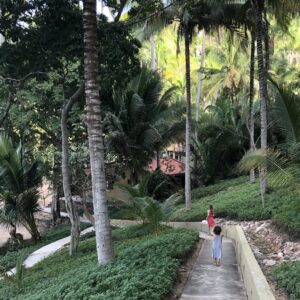 Mexico Tropical Retreat 2027 - Image 6