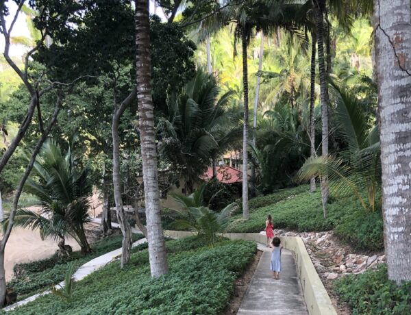 Mexico Tropical Retreat 2027