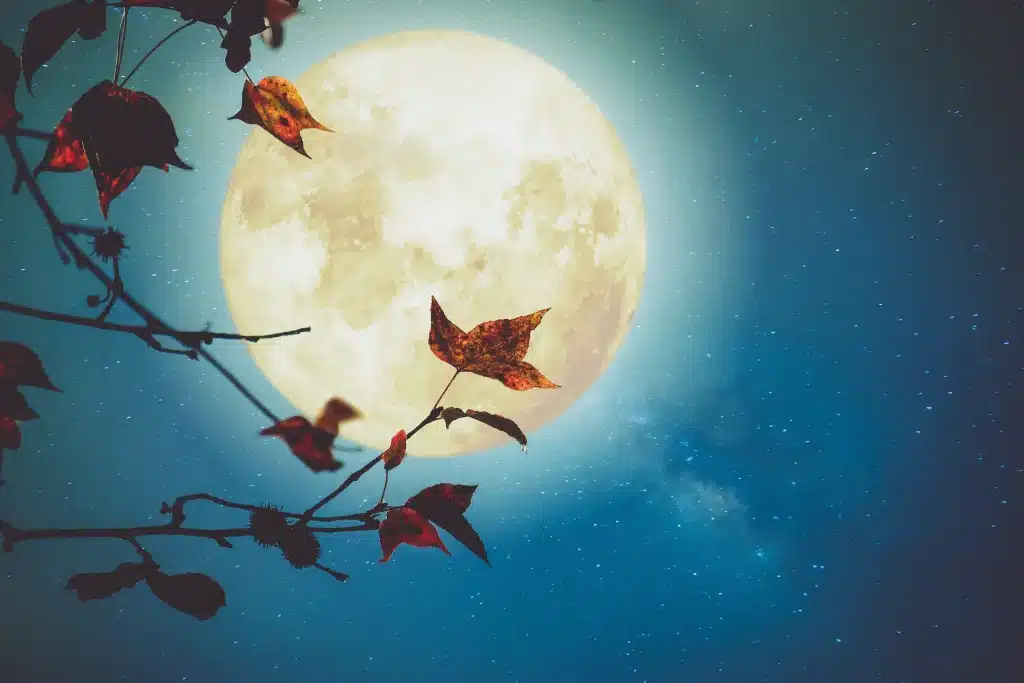 Full Moon Update ~October 17, 2024