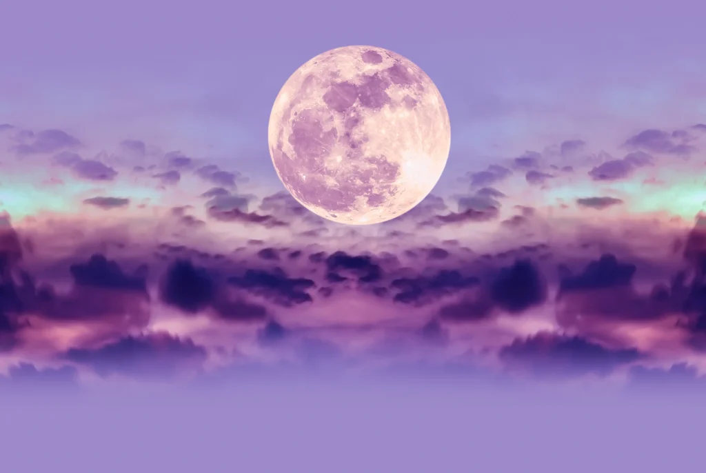 Full Moon Update ~ November 5, 2025