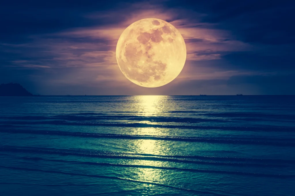 Full Moon Update ~ January 3, 2026