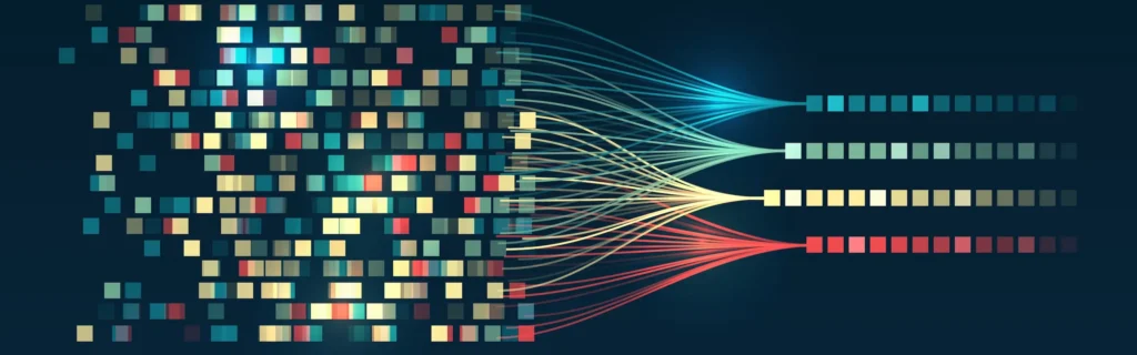 January 2026 Monthly Forecast