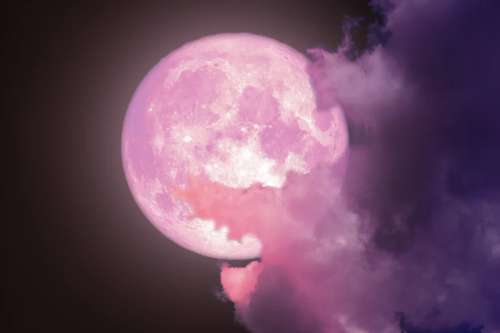 Full Moon Update ~ February 1, 2026